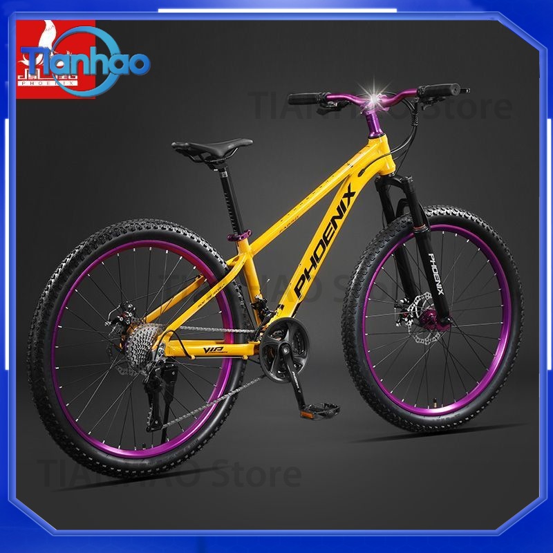 Aluminiowy rower górski ze sto – Mountain Biking Phoenix recenzja i cena