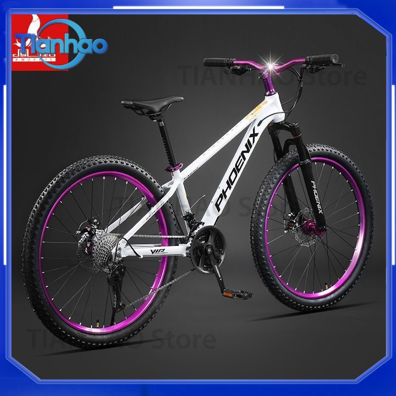 Aluminiowy rower górski ze sto – Mountain Biking Phoenix recenzja i cena