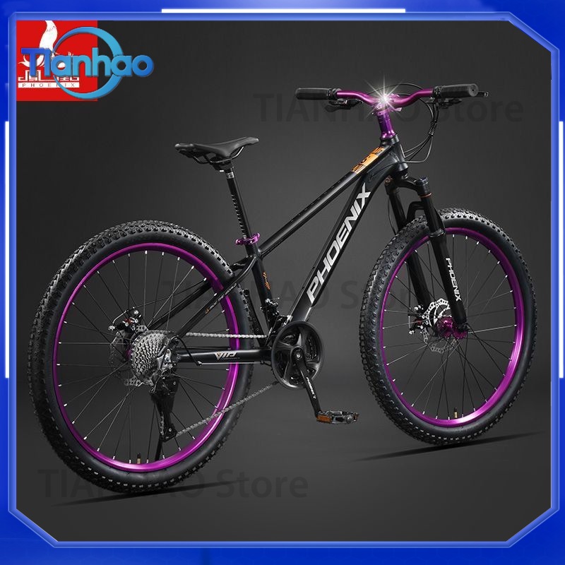 Aluminiowy rower górski ze sto – Mountain Biking Phoenix recenzja i cena