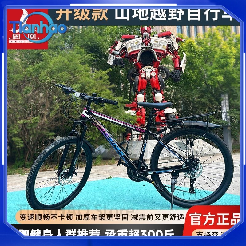 Rower górski Shanghai Phoenix, – Mountain Biking Phoenix recenzja i cena